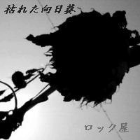 枯れた向日葵ジャケット